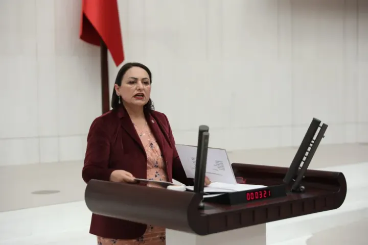 CHP’li Müzeyyen Şevkin’den TBMM’de HES Özelleştirmelerine Sert Tepki: "Enerji Varlıkları Satılamaz!"