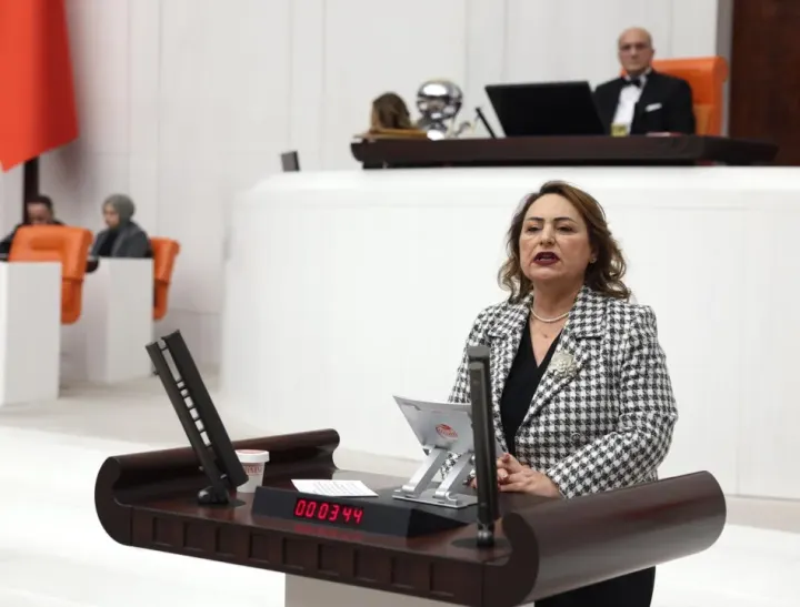 CHP’li Müzeyyen Şevkin’den 1 Eylül’de Meclis Araştırma Önergesi: "Kalıcı Barış İçin Eşit Yurttaşlık"