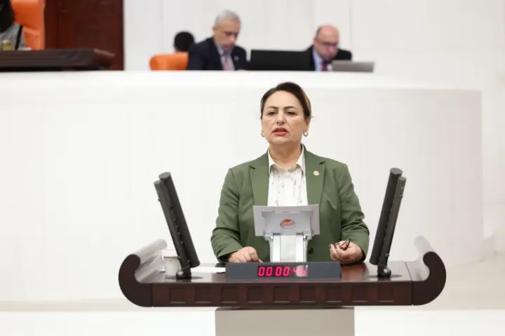CHP'li Müzeyyen Şevkin'den Meclis'e Engelliler İçin Kritik Önerge