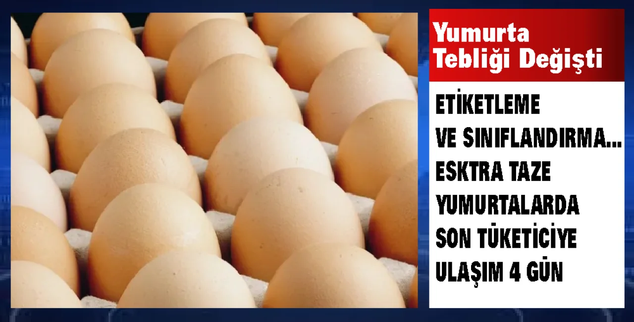 Yumurta Tebliği Değişti: A Sınıfı Yumurtalara Tüketim Tarihi Şartı