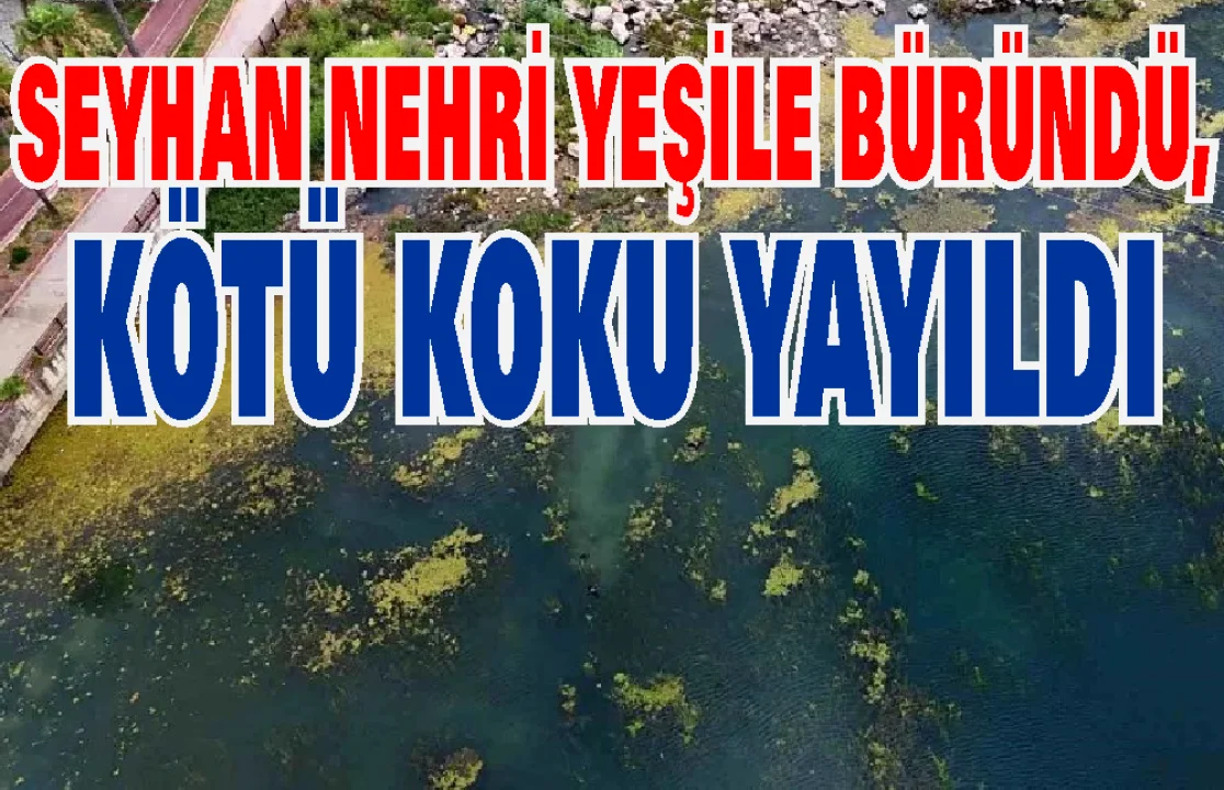 Seyhan Nehri Yosun ve Çöp Akınına Uğradı: Vatandaşlar Tepkili