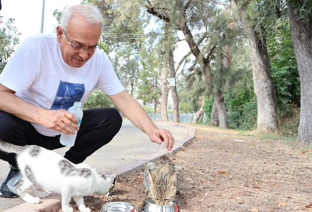Başkan Yusuf Kanlı’dan “Bir kap su, bir kap mama” çağrısı!