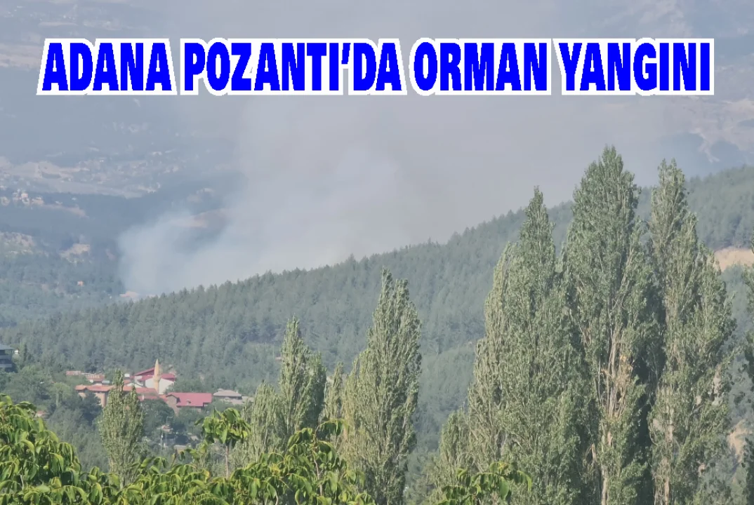 Adana’nın Pozantı İlçesinde Orman Yangını