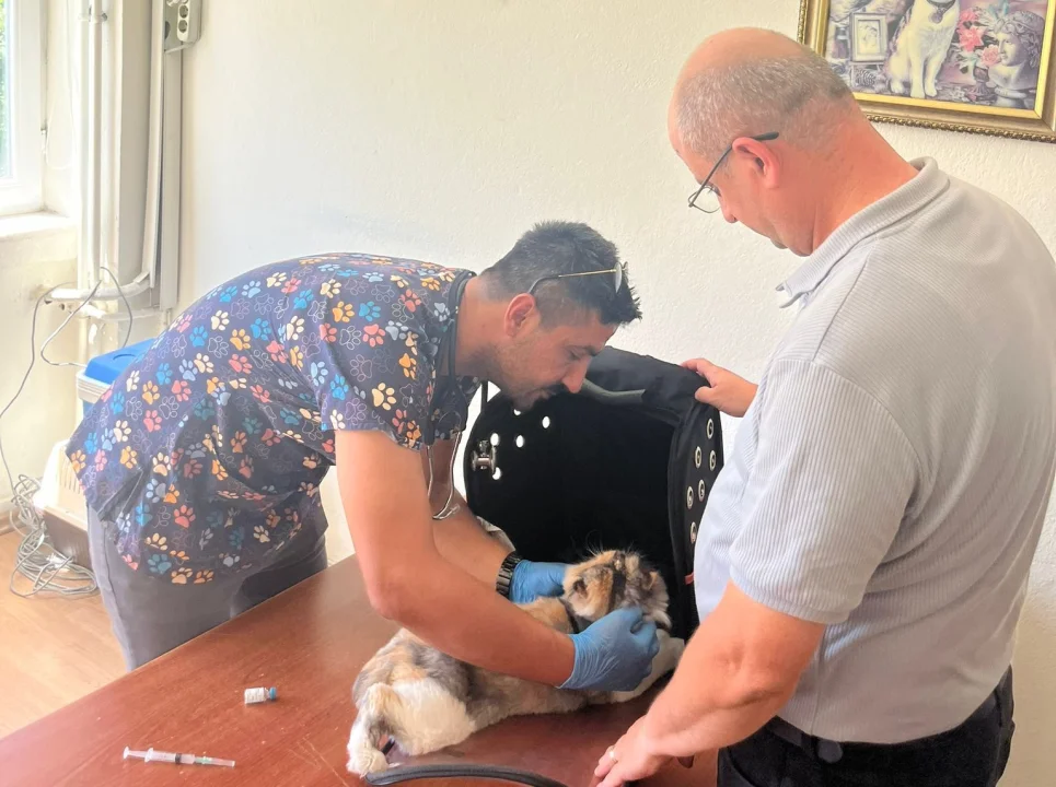 Adana İl Tarım ve Orman Müdürlüğünden Uyarı: “Patili Dostlarımızı Kimliklendirelim”