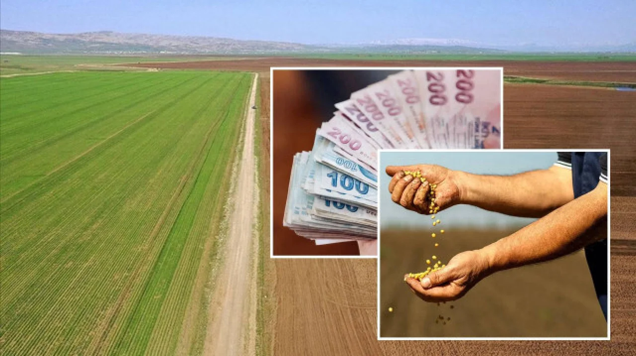 Adana’da Tarım Nefes Aldı: Destek Paraları Yatırıldı