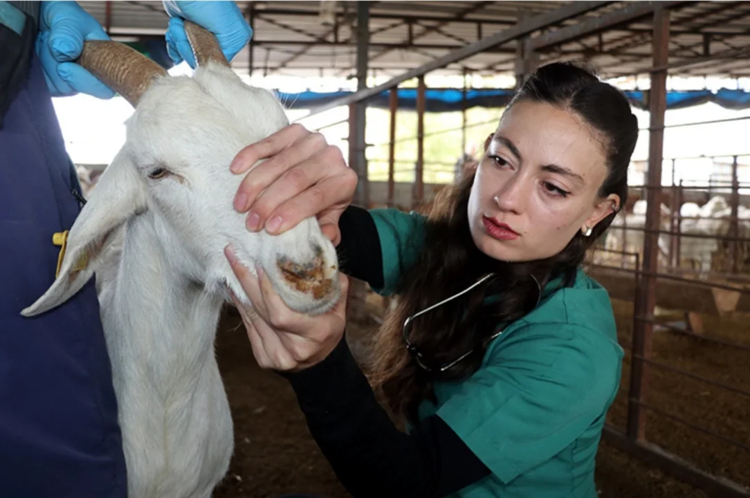 Hem Mesleğini Yapıyor Hem Babasının Emanetini Yaşatıyor