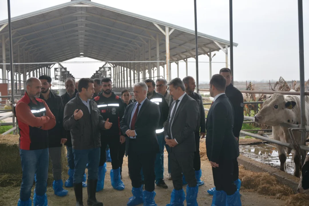 Kaymakam Kurtyemez’den Ata Yadigârı GAK Sığır Irkına Yakın TakipKaymakam Kurtyemez’den GAK Sığır Irkı İçin Yerinde İnceleme