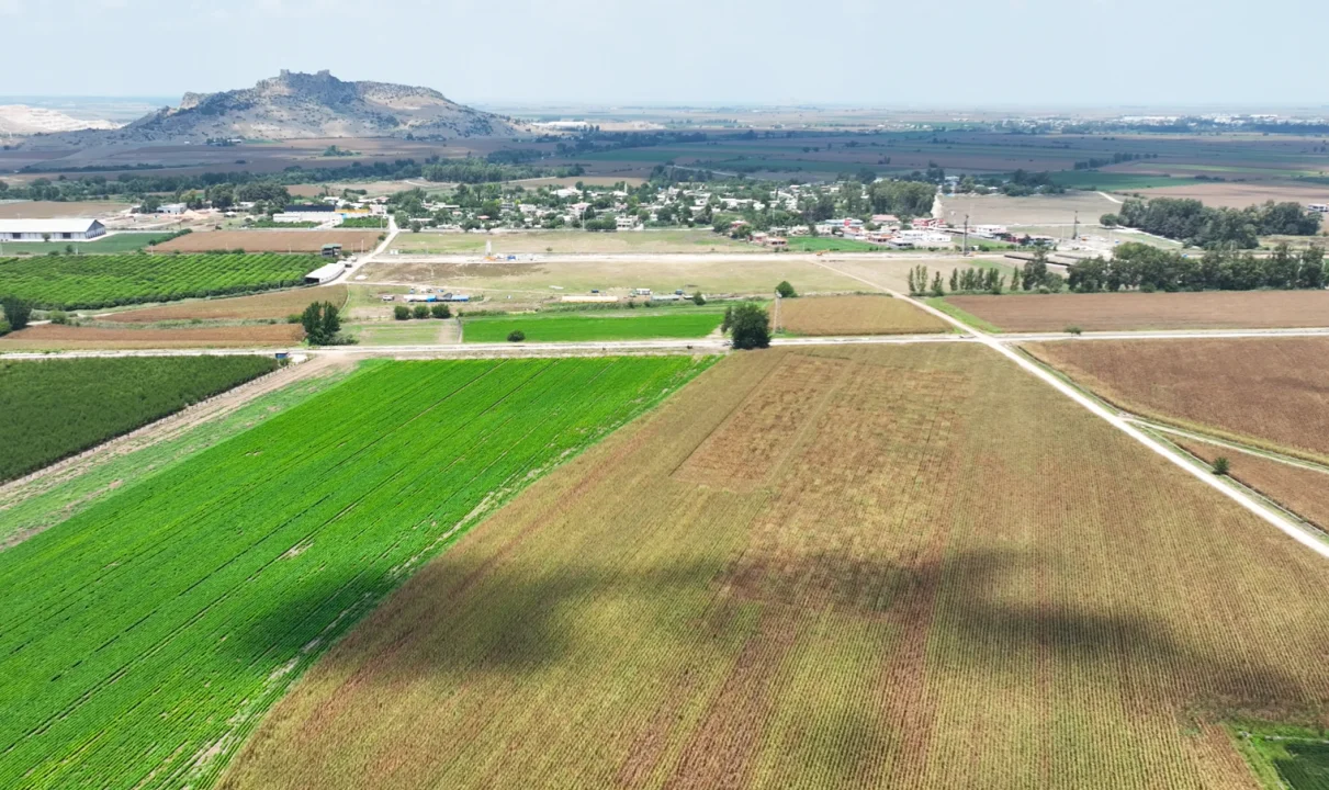 Çukurova Tarım Festivali İçin Geri Sayım Başladı: Tarımın Kalbi Ceyhan’da Atacak!