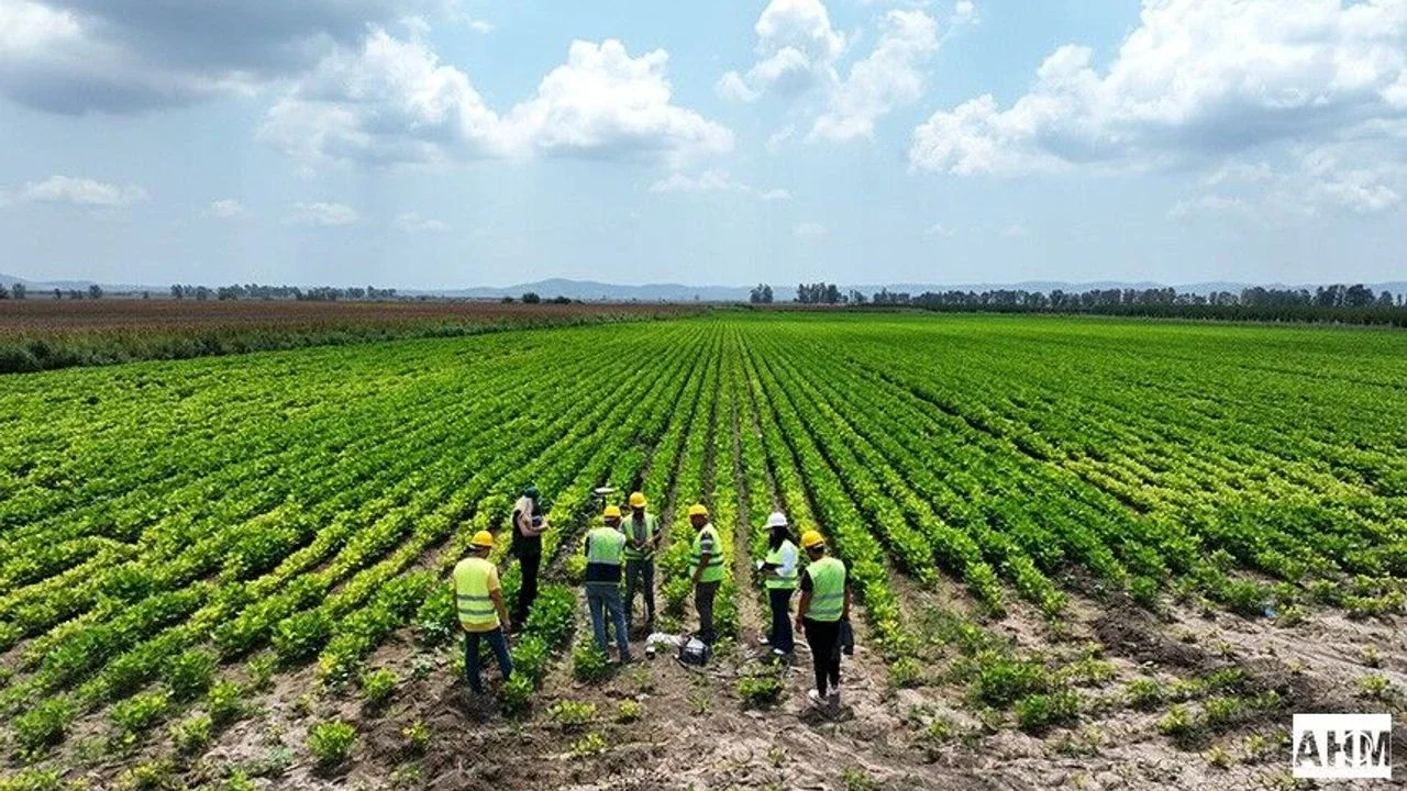 Ceyhan'da Toprak Verimliliği Şahlanıyor: 230 Bin Dekarlık Dev Projede Yeni Safha!