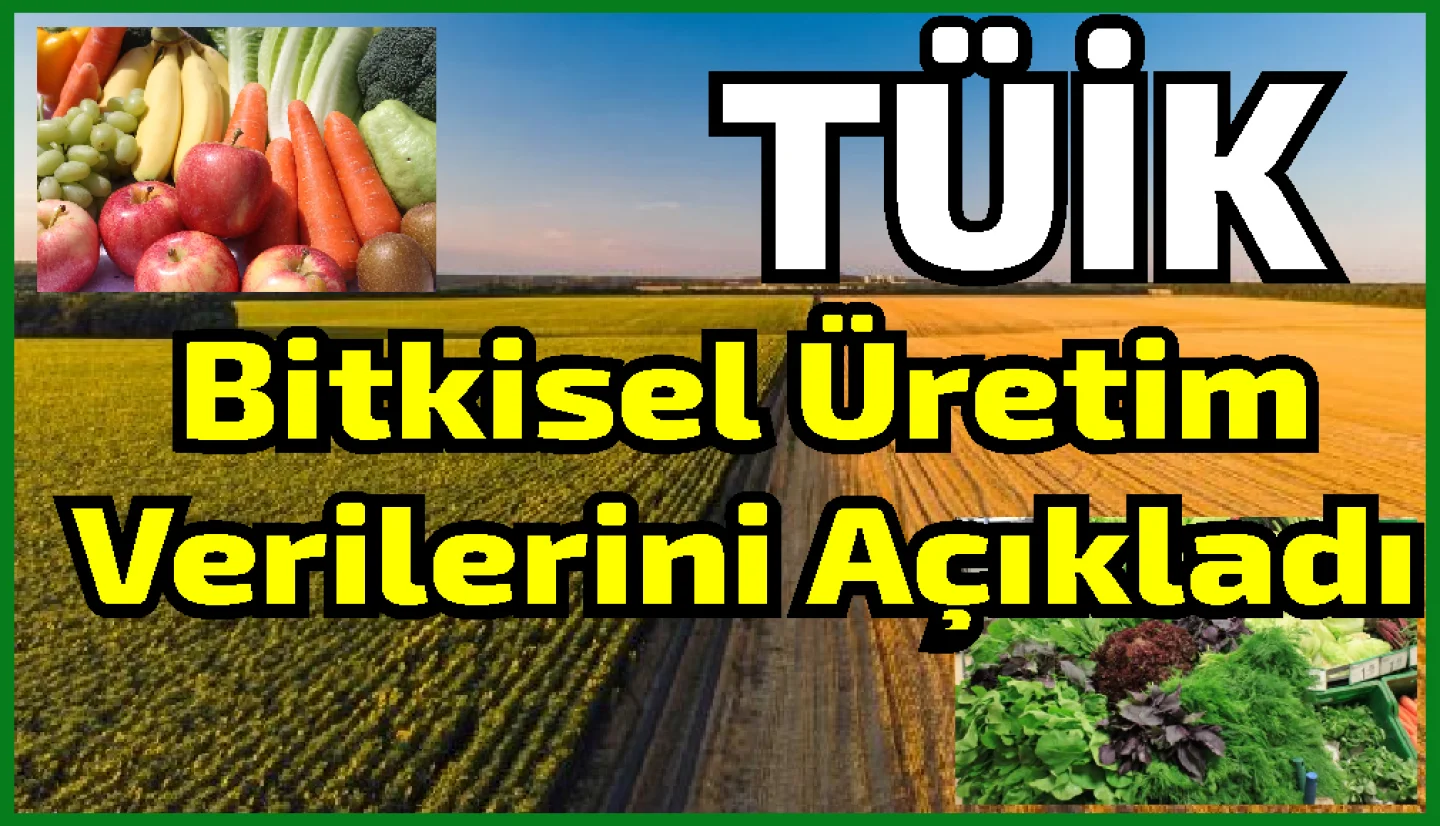 Bitkisel üretimin bir önceki yıla göre tarla ürünlerinde azalacağı, meyve ve sebze grubunda ise artacağı tahmin edildi