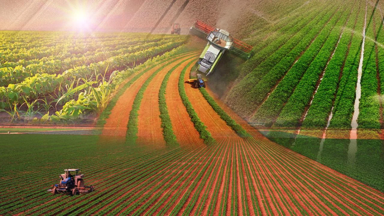 Adana’da Çiftçiye Müjde: %33 Amonyum Nitrat Gübresine Yeniden İzin!