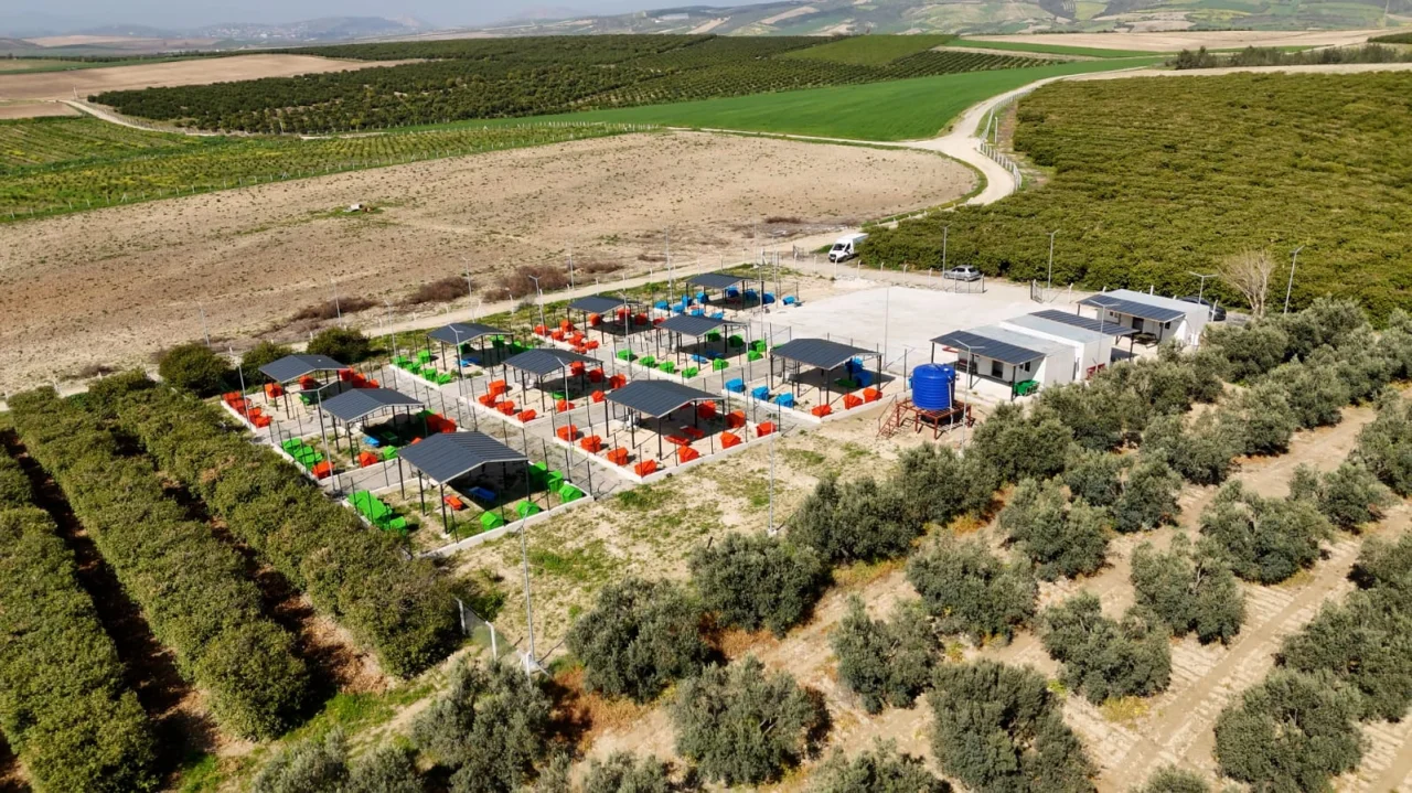 Ceyhan’da Patili Dostlara 73 Bin Metrekarelik Dev Yaşam Alanı Açıldı!