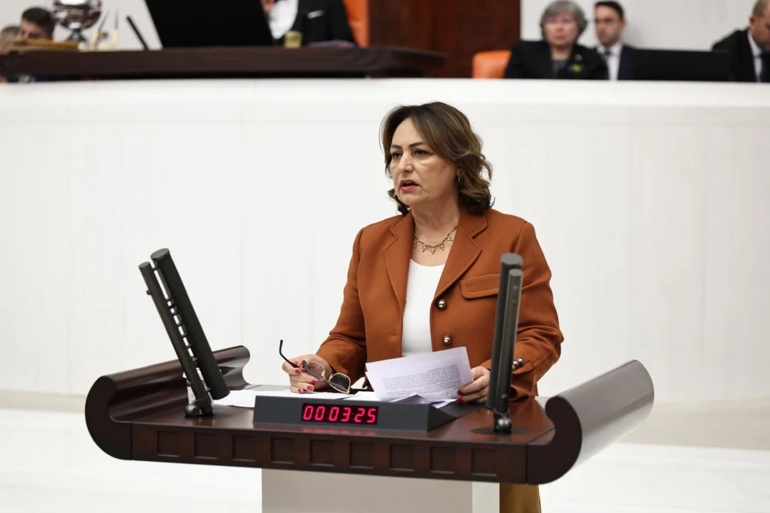 “IBAN dolandırıcılığında vatandaş yalnız bırakılıyor, bankalar sorumluluktan kaçıyor”