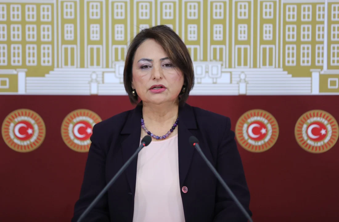 CHP’li Müzeyyen Şevkin’den Otoyol Özelleştirmelerine Sert Tepki: 