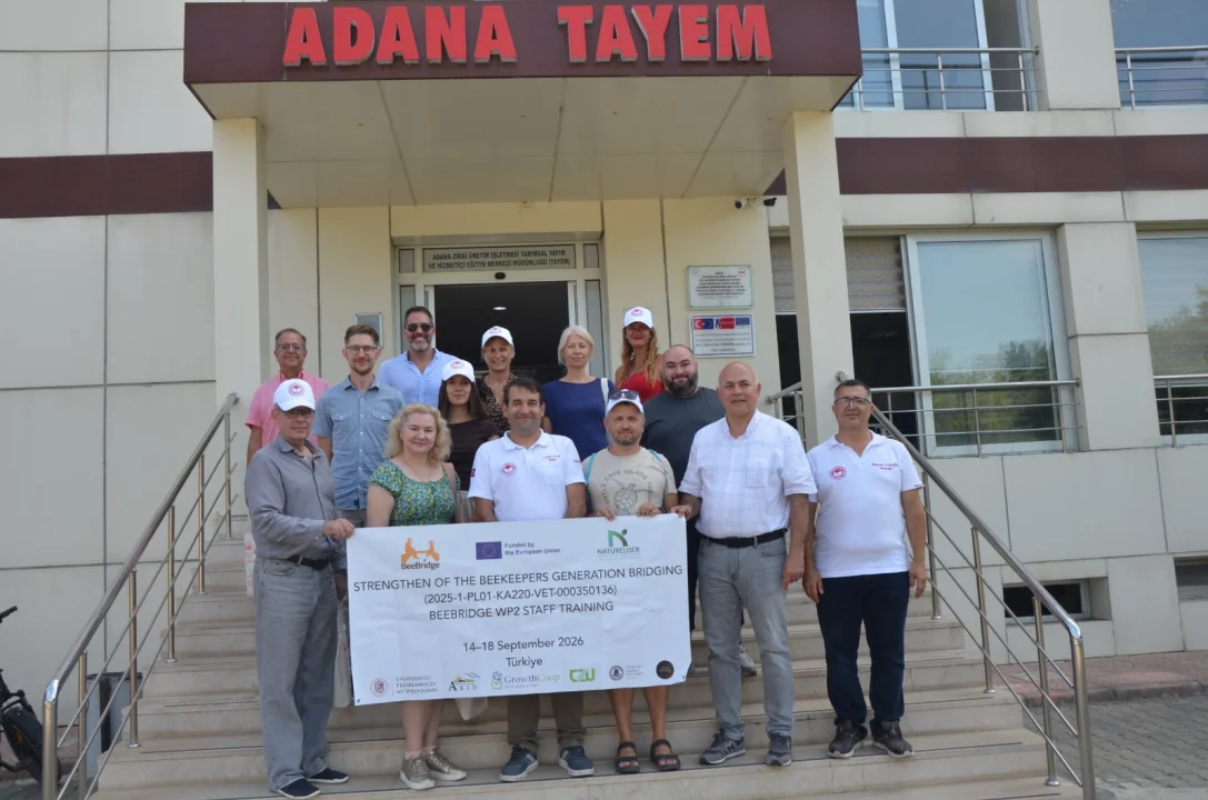 Uluslararası 
