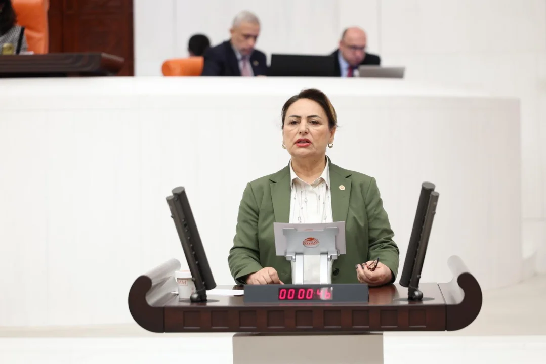 CHP'li Müzeyyen Şevkin'den Meclis'e Engelliler İçin Kritik Önerge