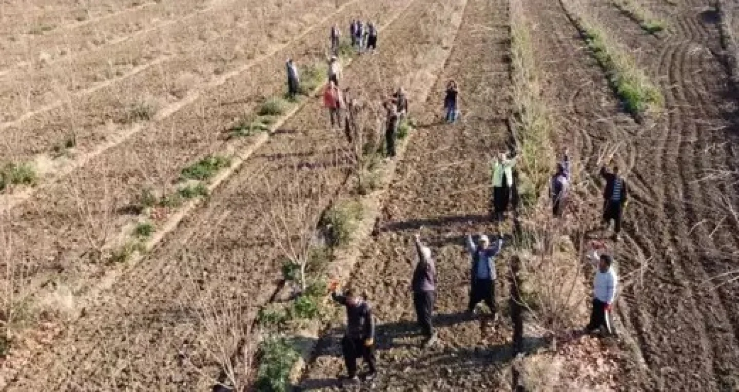 Teknoloji, Adana'da Tarım İşçilerinin Yaşamını Kolaylaştırdı